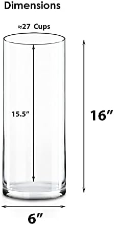 CYS EXCEL Cylinder Clear Glass Vase 16 H 6 D