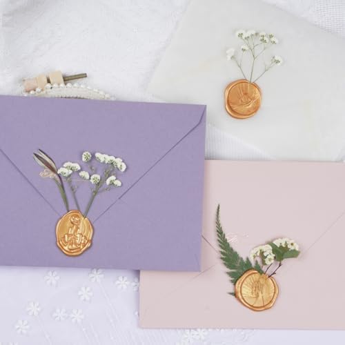 50Pcs White Dried Pressed Flowers for Crafts and Decor