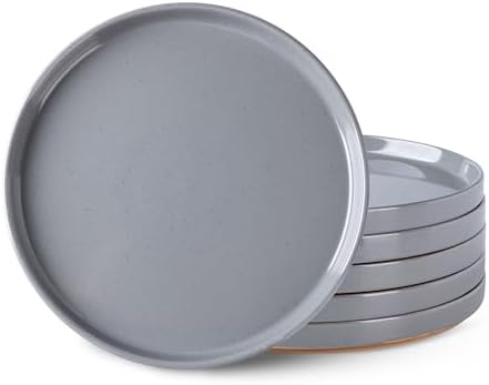 AmorArc Ceramic Dinner Plates Set of 6 1025 Inch