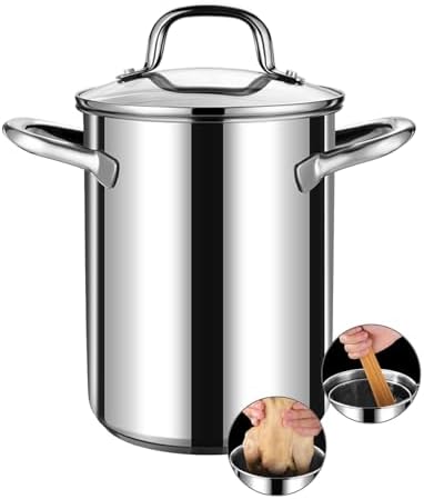 AIZYR Stainless Steel Deep Fryer with Lid and Basket