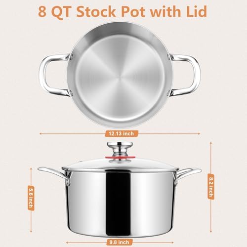 8 Qt Stainless Steel Stock Pot with Glass Lid