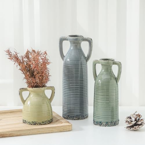 Lyeec Ceramic Vase Set of 3 with Handles