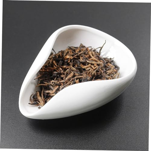 Hohopeti Set Tea Scoop Porcelain Tea Vessel for Loose Leaf