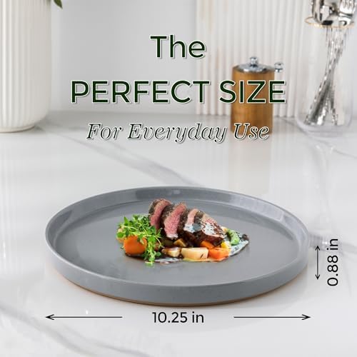 AmorArc Ceramic Dinner Plates Set of 6 1025 Inch