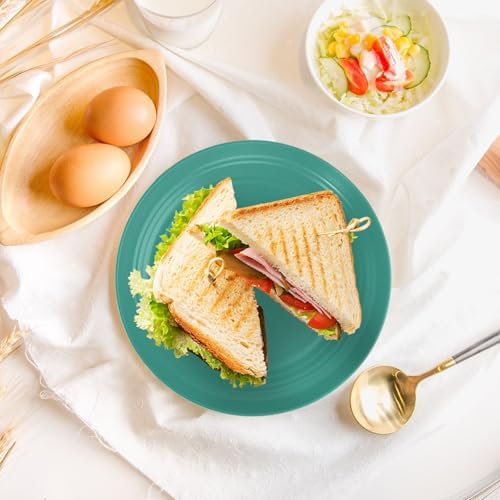 OAMCEG 12pcs Wheat Straw Plates Reusable 9 Inch