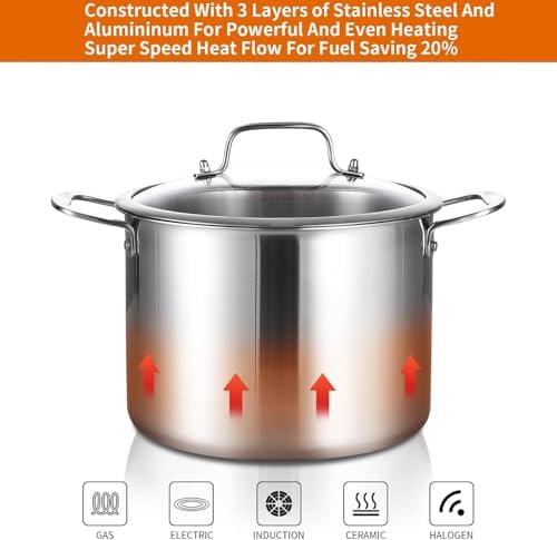 DELARLO Tri-Ply Stainless Steel 12QT Stock Pot with Lid