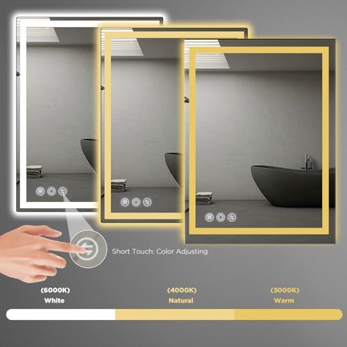 LED Mirror with Front and Back Lighting 20x28 Inch