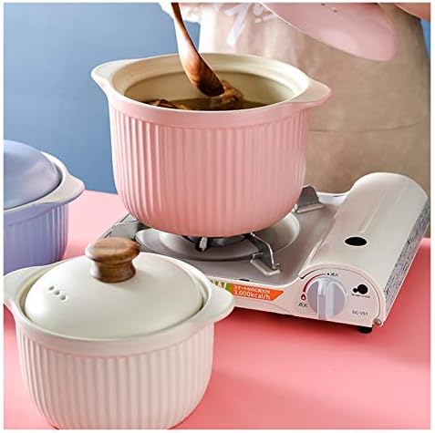 SISWIM 26L Induction Casserole with Lid
