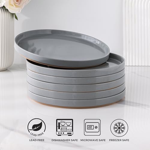 AmorArc Ceramic Dinner Plates Set of 6 1025 Inch