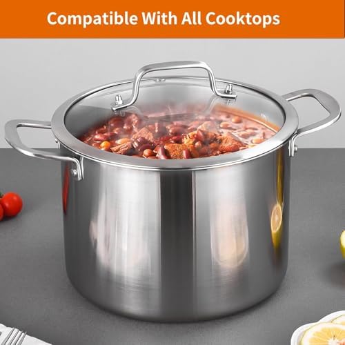 DELARLO Tri-Ply Stainless Steel 12QT Stock Pot with Lid