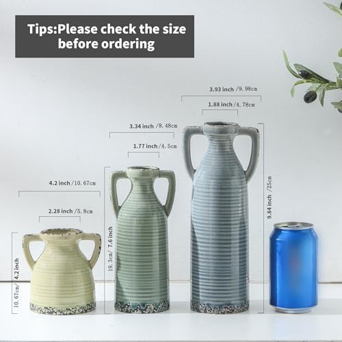 Lyeec Ceramic Vase Set of 3 with Handles