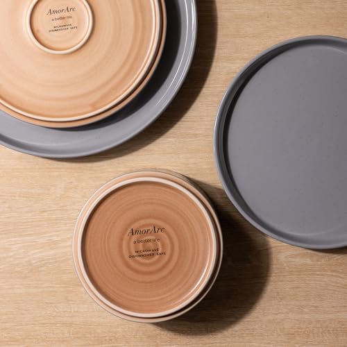 AmorArc Ceramic Dinner Plates Set of 6 1025 Inch