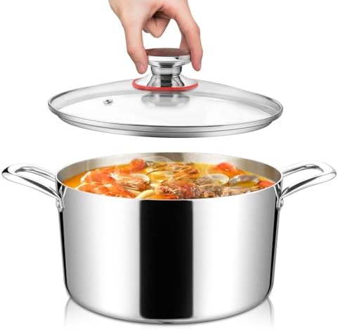 8 Qt Stainless Steel Stock Pot with Glass Lid