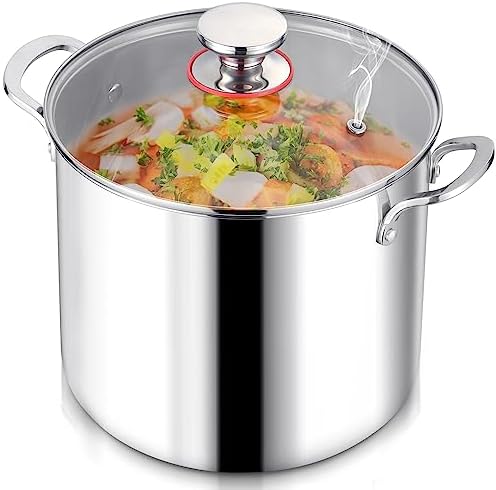 LIANYU 12QT Stainless Steel Stockpot with Lid