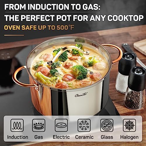 Ciwete Stock Pot 8 Quart 12 Quart