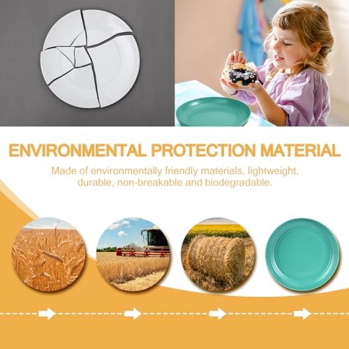 OAMCEG 12pcs Wheat Straw Plates Reusable 9 Inch