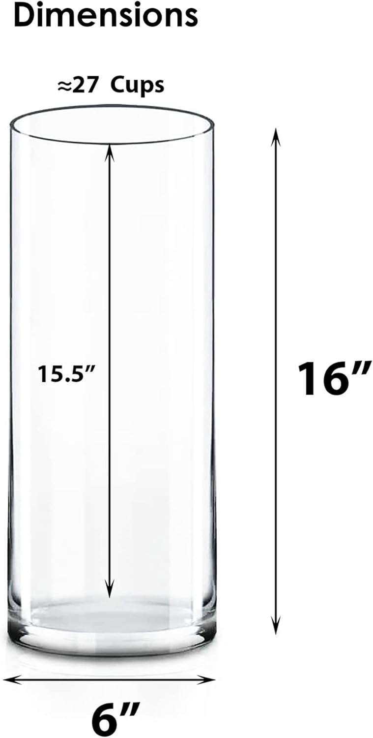 CYS EXCEL Cylinder Clear Glass Vase 16 H 6 D