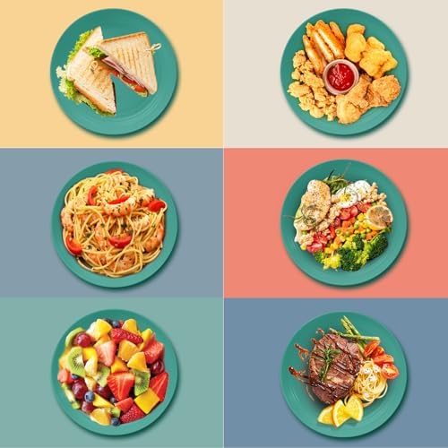 OAMCEG 12pcs Wheat Straw Plates Reusable 9 Inch
