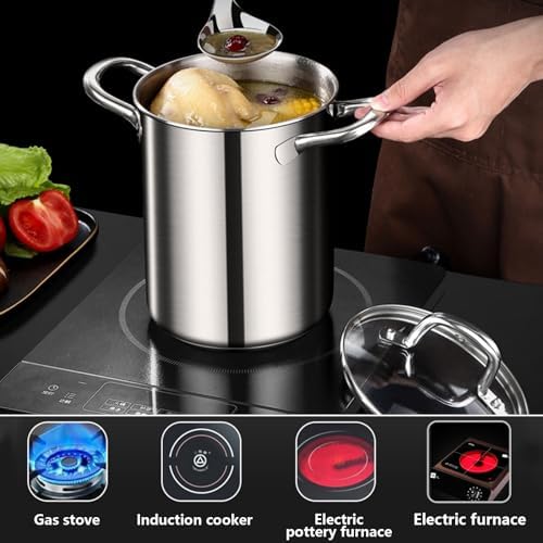 AIZYR Stainless Steel Deep Fryer with Lid and Basket