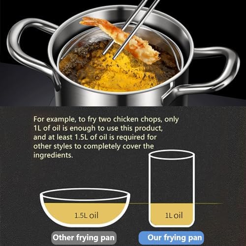 AIZYR Stainless Steel Deep Fryer with Lid and Basket