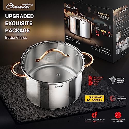 Ciwete Stock Pot 8 Quart 12 Quart