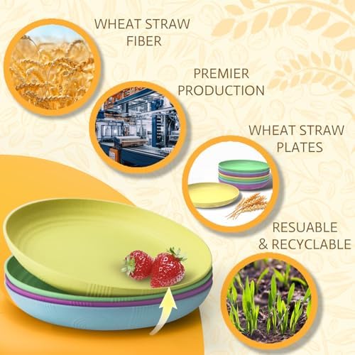 SINOGE 10 Inch Wheat Straw Dinner Plates Set of 8