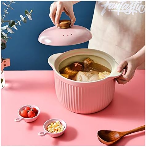 SISWIM 26L Induction Casserole with Lid
