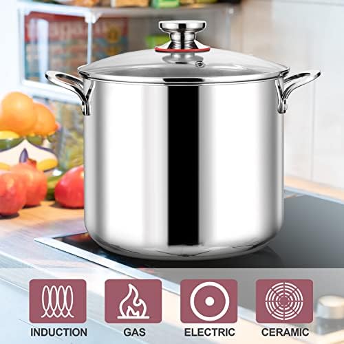 LIANYU 12QT Stainless Steel Stockpot with Lid