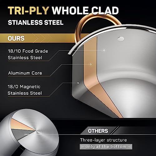 Ciwete Stock Pot 8 Quart 12 Quart