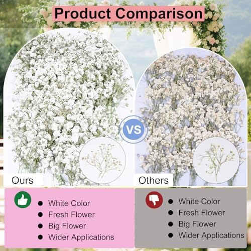 50Pcs White Dried Pressed Flowers for Crafts and Decor