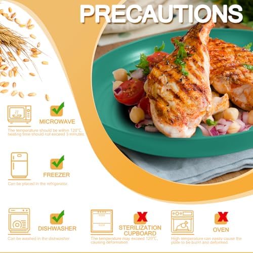 OAMCEG 12pcs Wheat Straw Plates Reusable 9 Inch