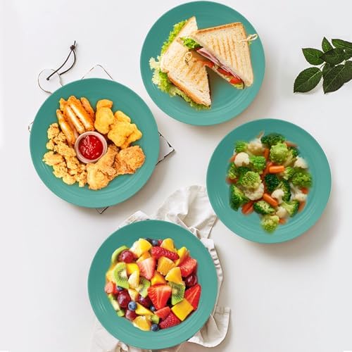 OAMCEG 12pcs Wheat Straw Plates Reusable 9 Inch