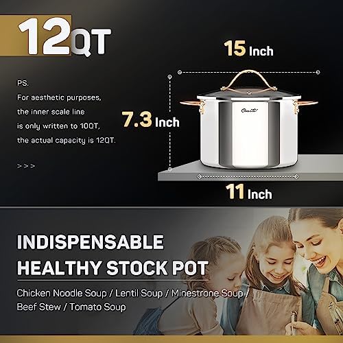 Ciwete Stock Pot 8 Quart 12 Quart