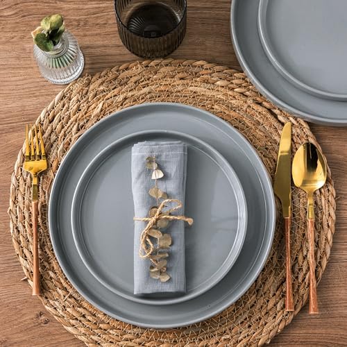 AmorArc Ceramic Dinner Plates Set of 6 1025 Inch