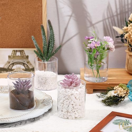 Vesici 20 Pcs Clear Plastic Cylinder Vases 4 Inch