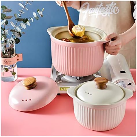 SISWIM 26L Induction Casserole with Lid