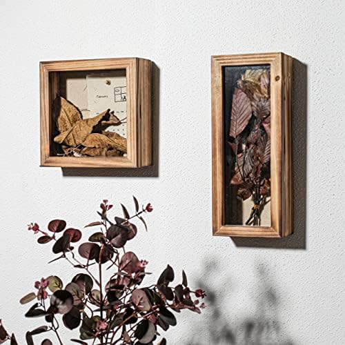 Freezing Point Shadow Box Frame 5x125 Flower Display Case