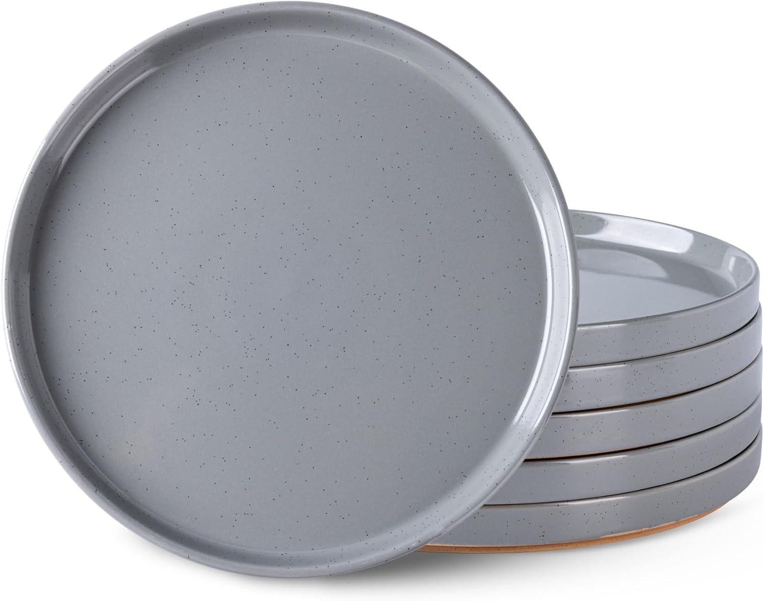 AmorArc Ceramic Dinner Plates Set of 6 1025 Inch