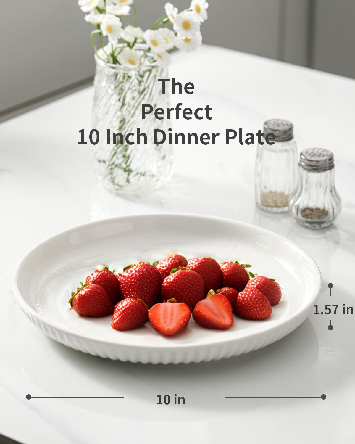 Hasense 10 Inch White Ceramic Dinner Plate Set of 6
