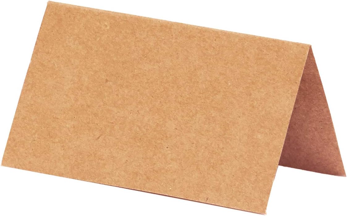MATICAN 100 Count Kraft Place Cards for Weddings and Events