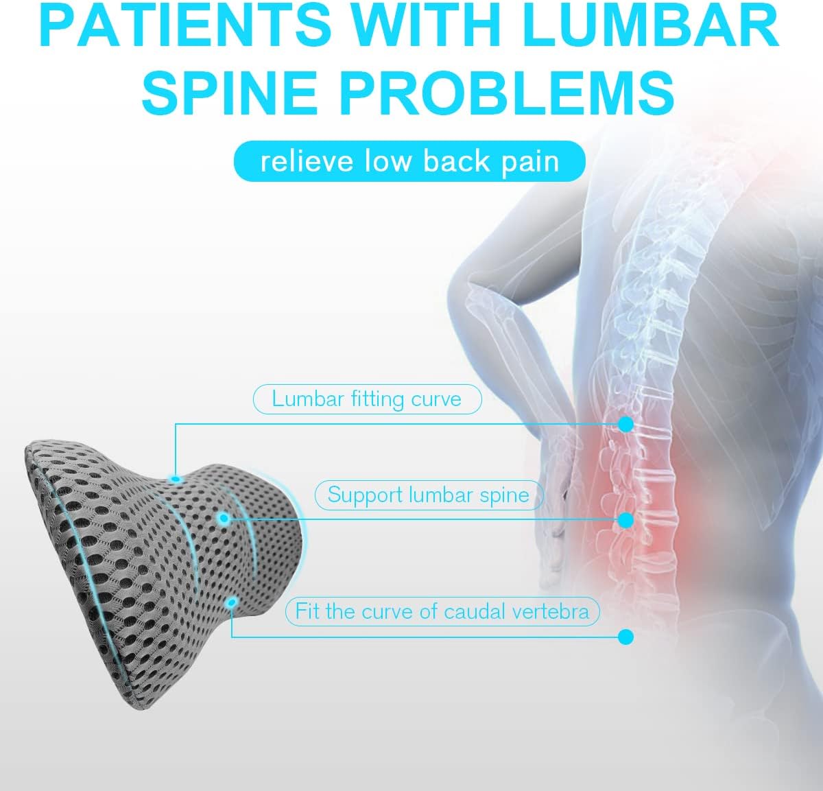 Panduo Lumbar Support Pillow - Memory Foam for Back Pain Relief