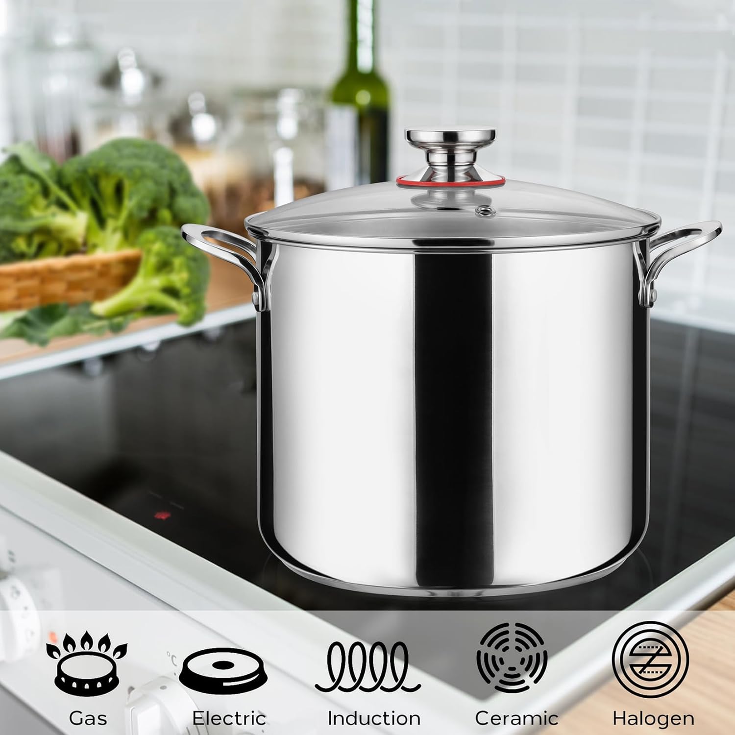 12 Quart Stock Pot with Lid 1810 Stainless Steel