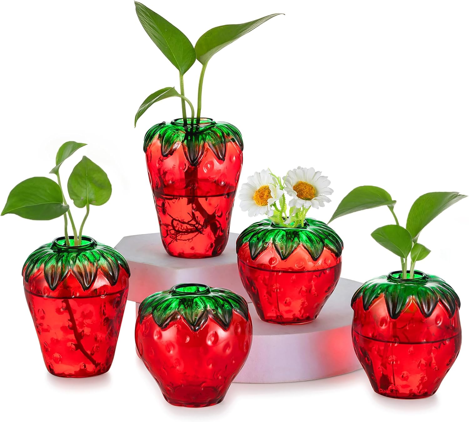 Glass Strawberry Plant Propagation Vases Set of 5