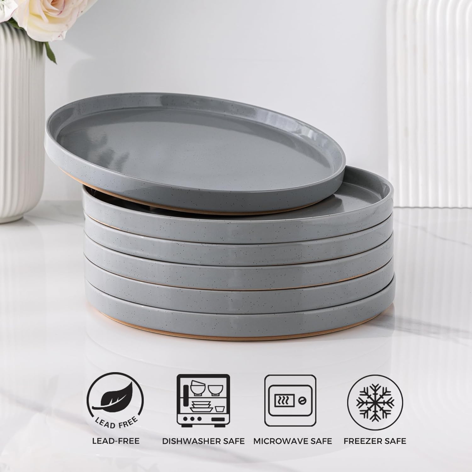 AmorArc Ceramic Dinner Plates Set of 6 1025 Inch