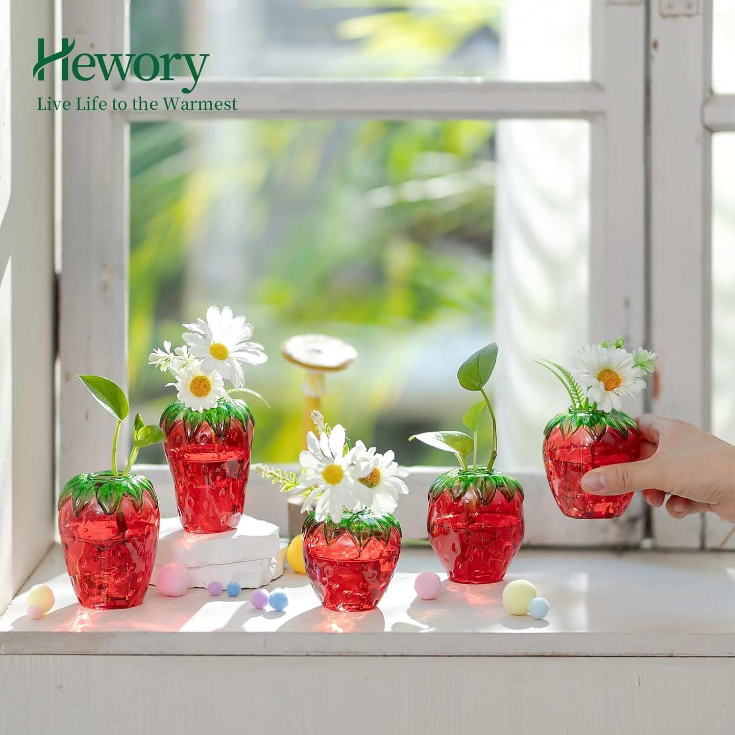 Glass Strawberry Plant Propagation Vases Set of 5