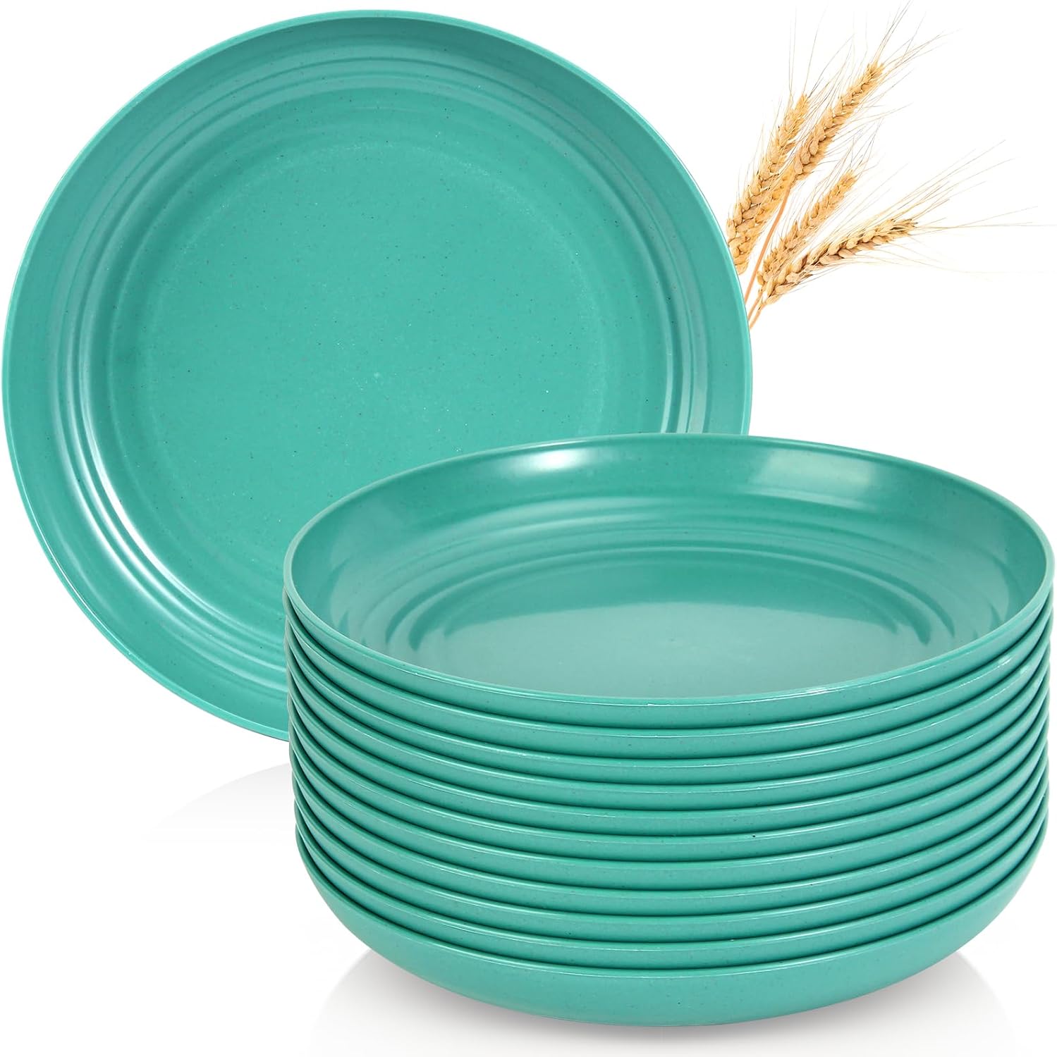 OAMCEG 12pcs Wheat Straw Plates Reusable 9 Inch