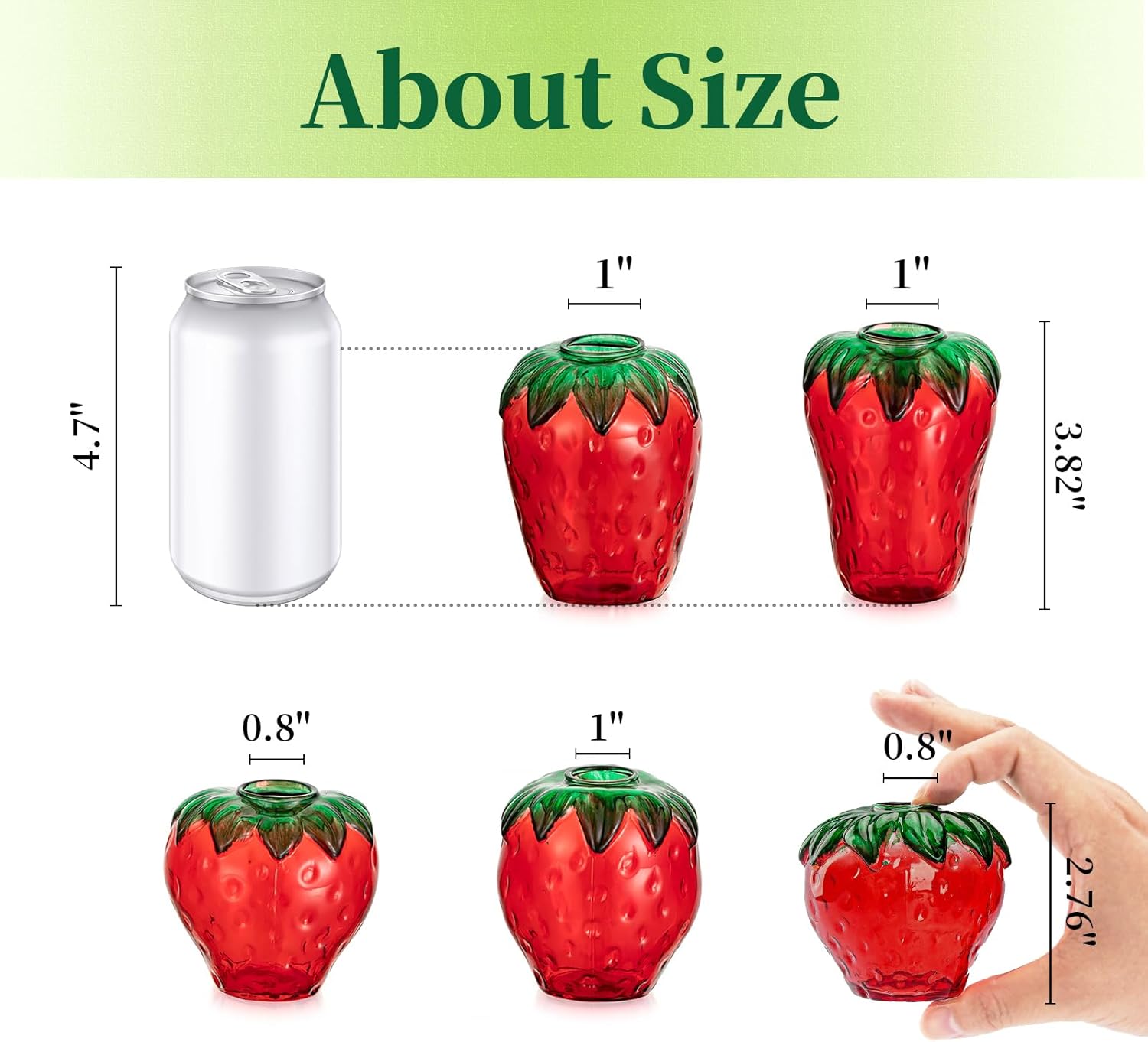 Glass Strawberry Plant Propagation Vases Set of 5