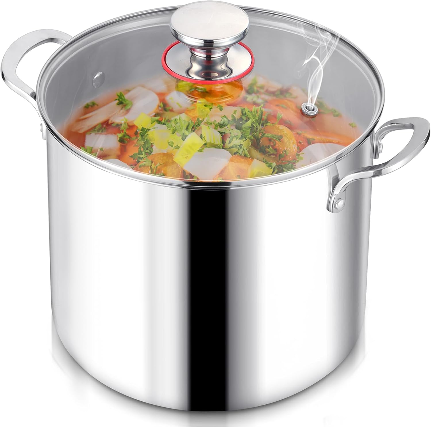 LIANYU 12QT Stainless Steel Stockpot with Lid
