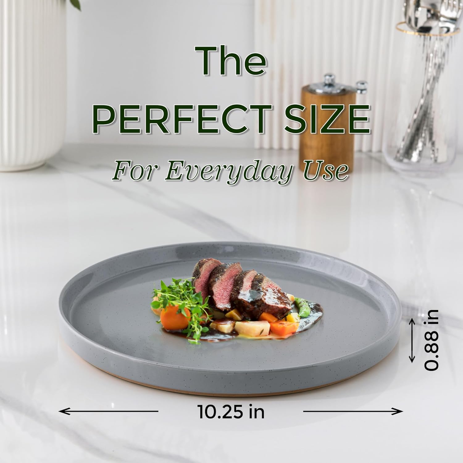 AmorArc Ceramic Dinner Plates Set of 6 1025 Inch