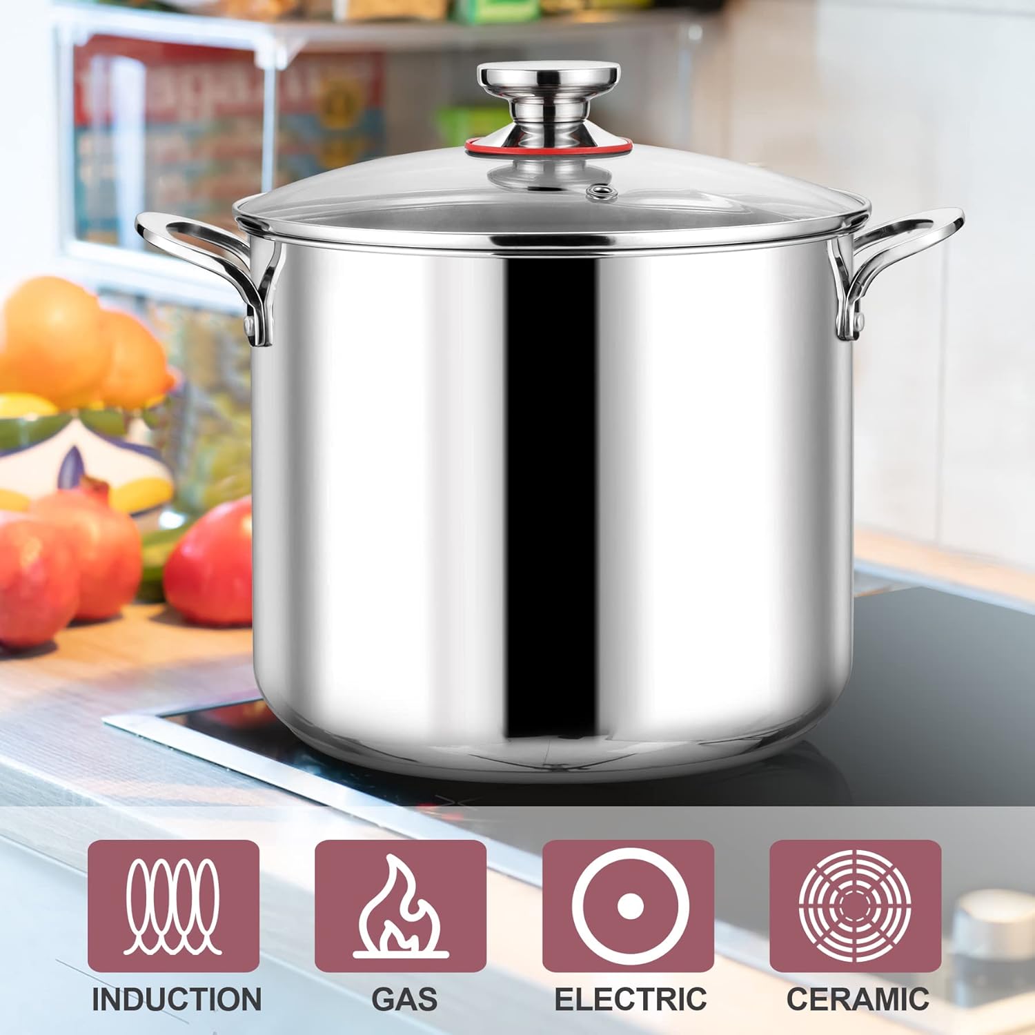 LIANYU 12QT Stainless Steel Stockpot with Lid